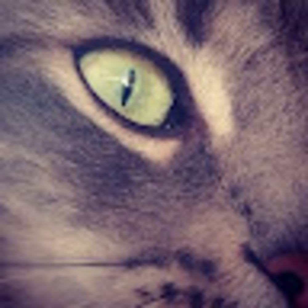 Meet your Posher, Ariana